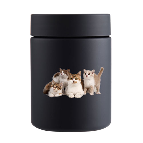 Soft Touch HDPE Plastic Jars for Pet Supplement, Available in Various Specifications