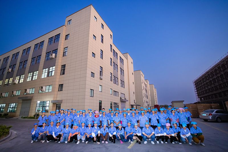 Company Profile
