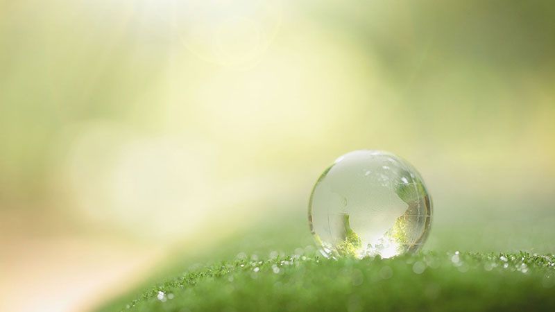 Sustainable Packaging