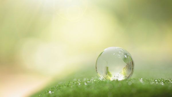 Sustainability